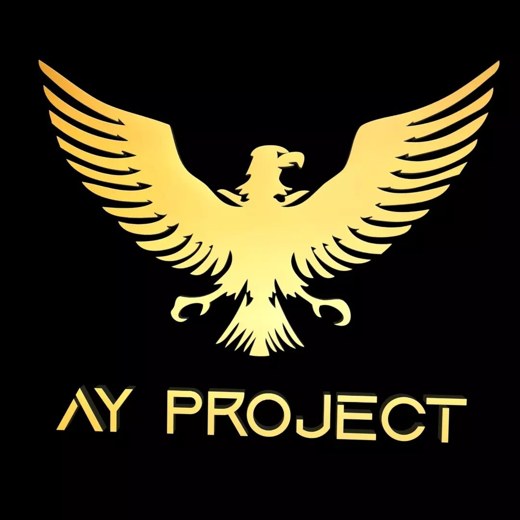 AY Project logo